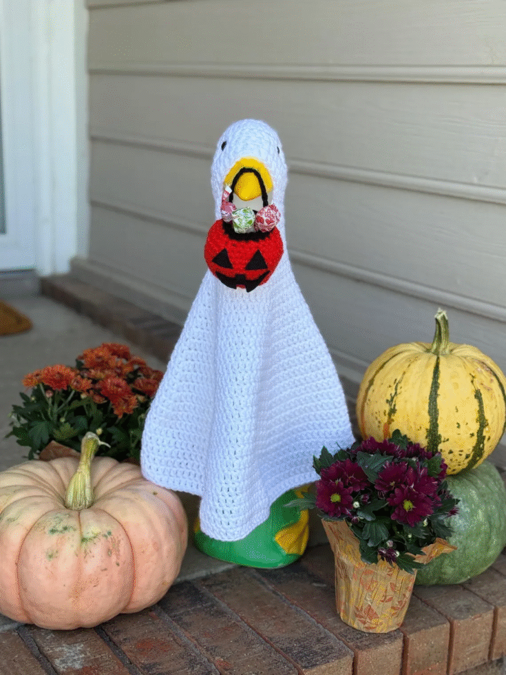 Image for Porch Goose Ghost Costume Crochet Pattern